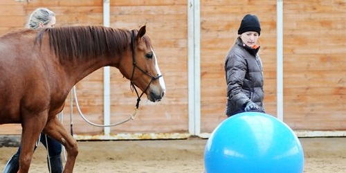 Undervisning med tid til den enkelte hest